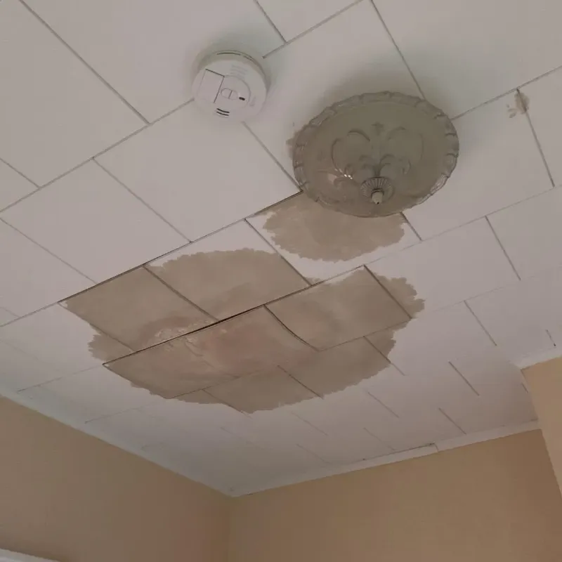 Ceiling Water Damage Repair in Arlington, VT