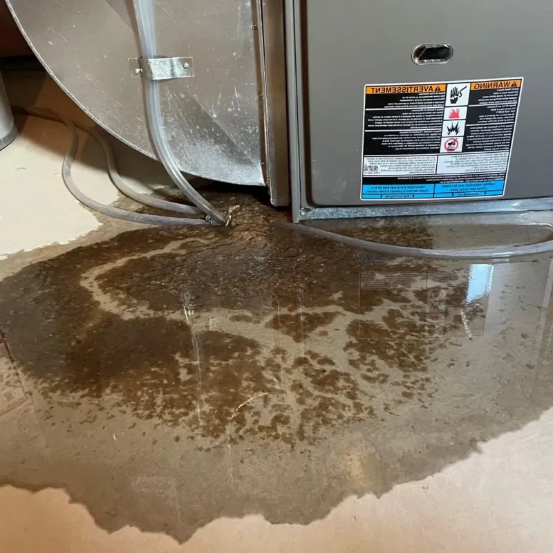 Pipe Burst and Leak Restoration in Arlington, VT